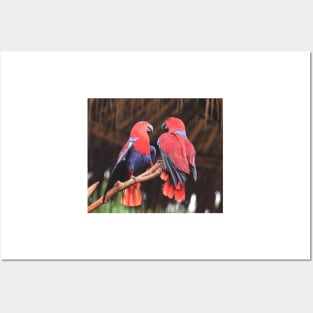 Parrots Posters and Art